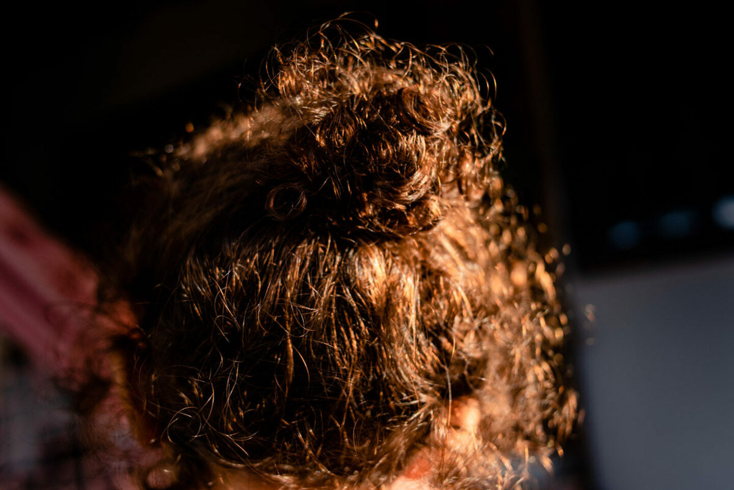 Best Collection Award - Menção Honrosa